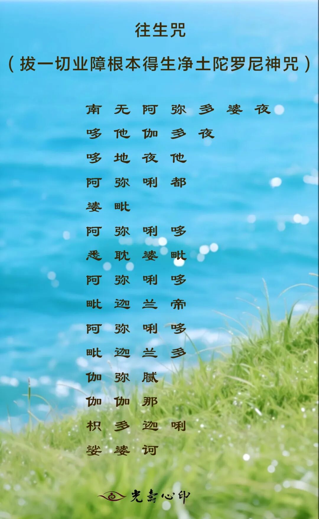 作者头像
