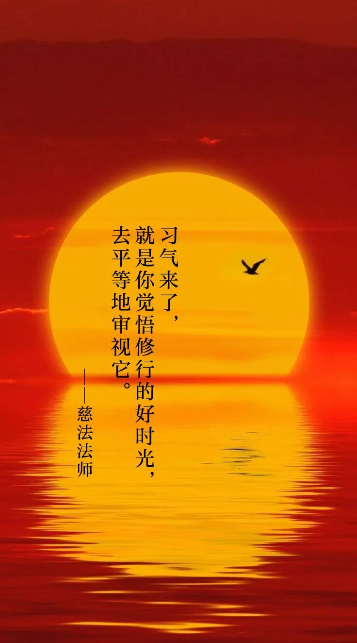 cover_image