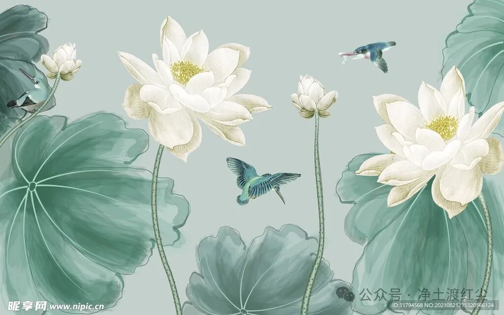 cover_image