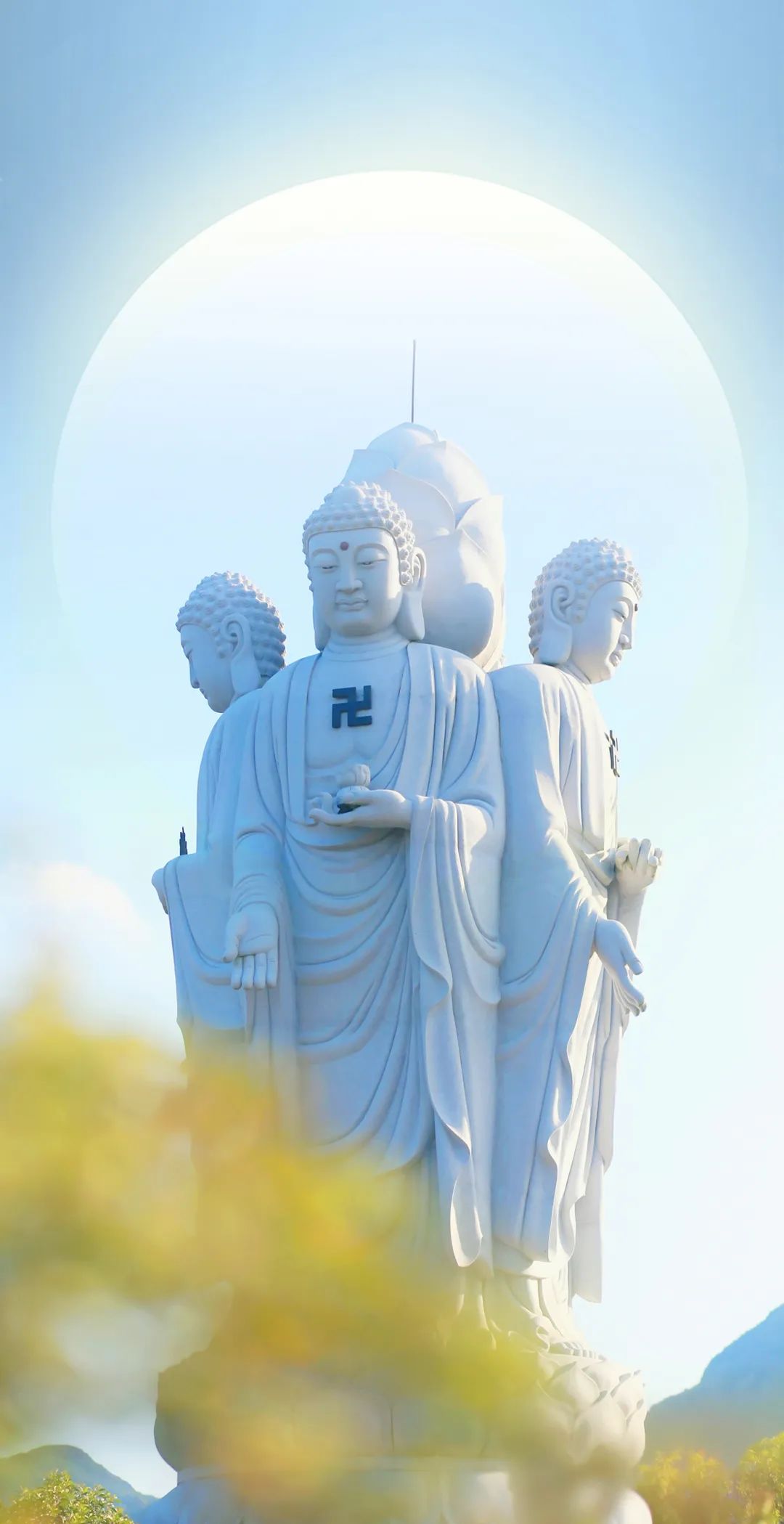 cover_image