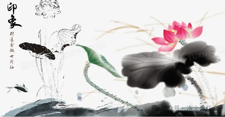 cover_image
