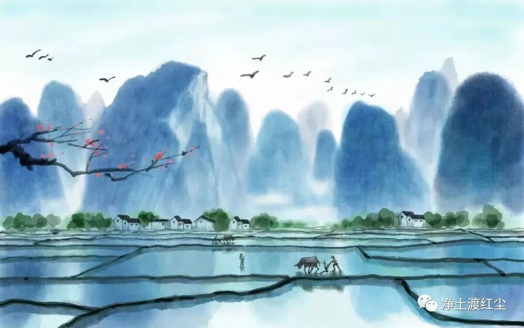 cover_image