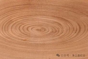 cover_image