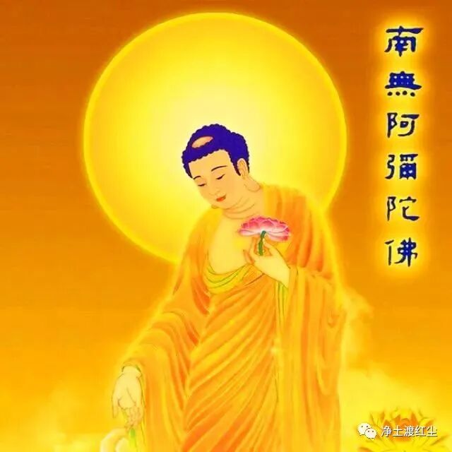 cover_image