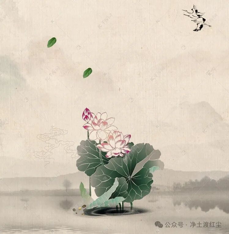 cover_image