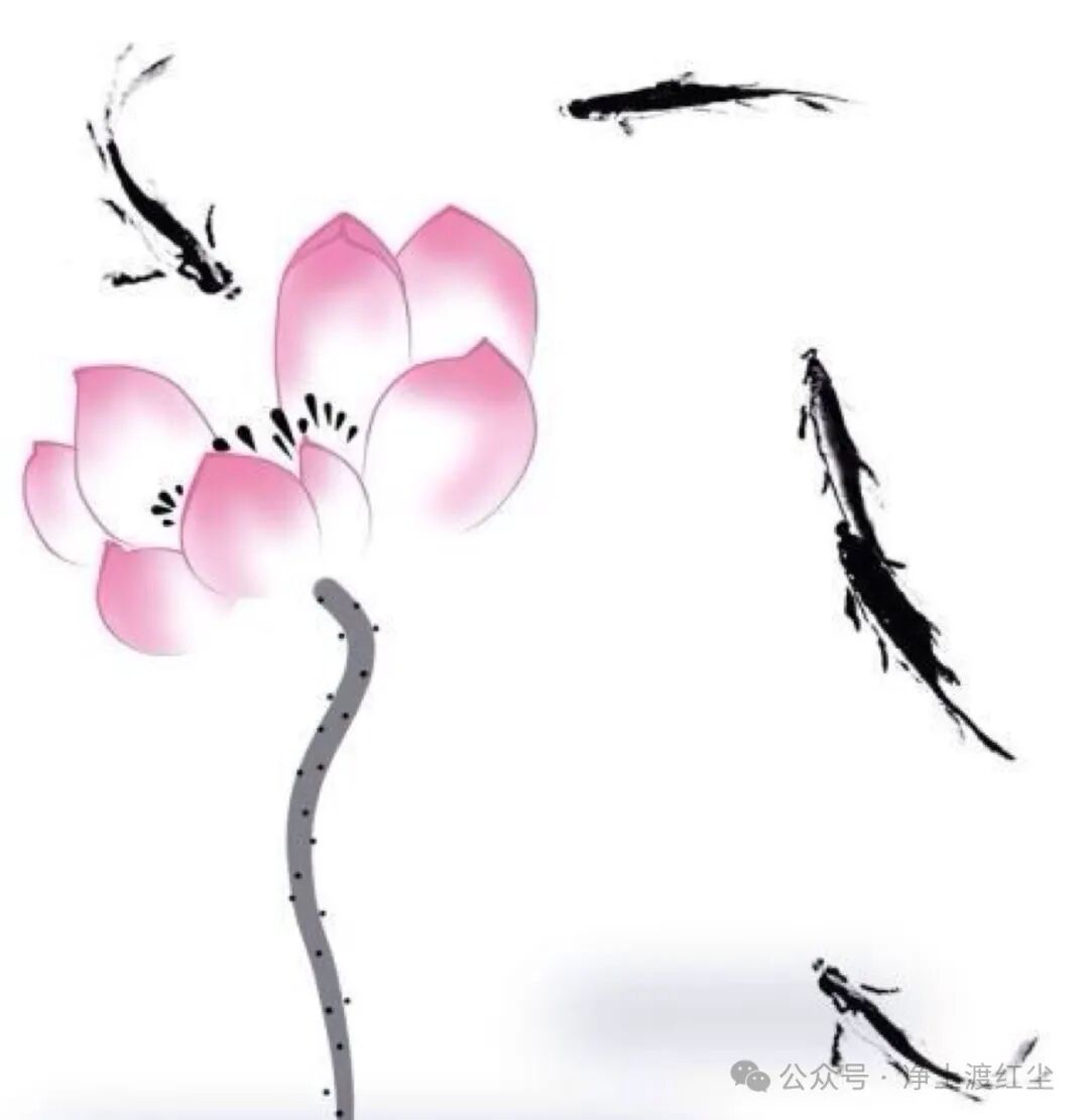 cover_image