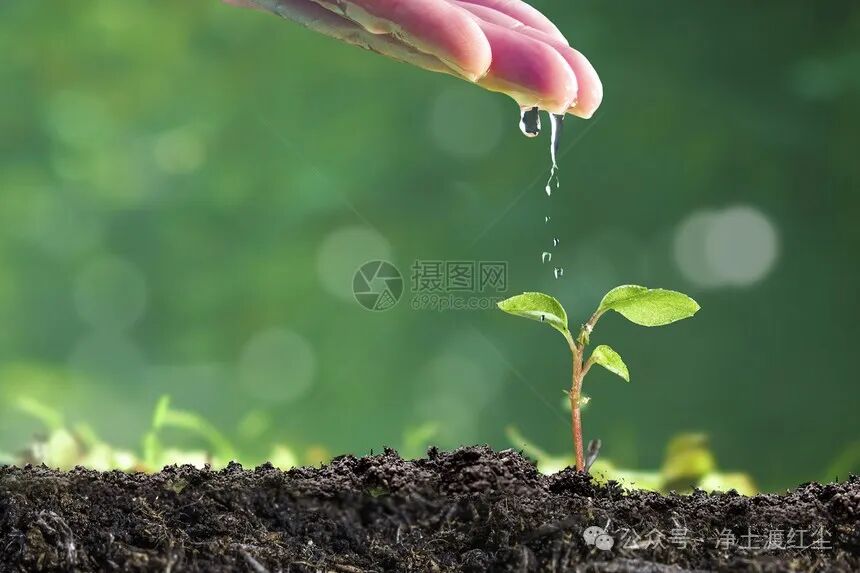 cover_image