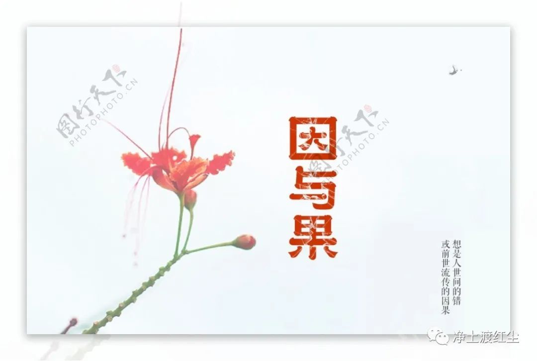 cover_image