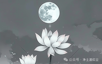 cover_image