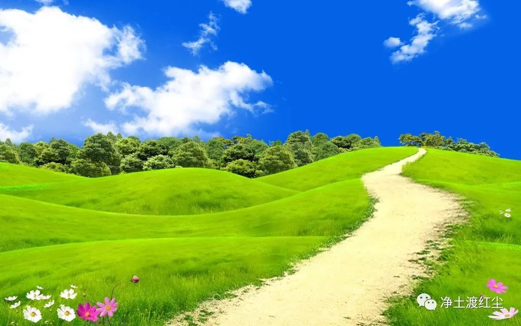 cover_image