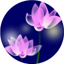 cover_image