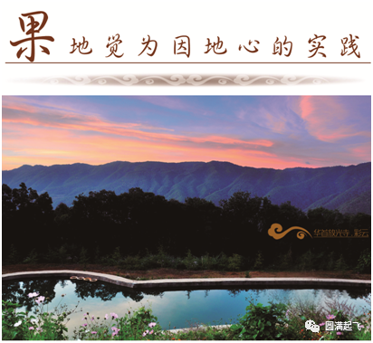 cover_image