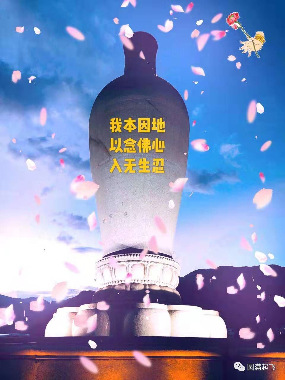cover_image
