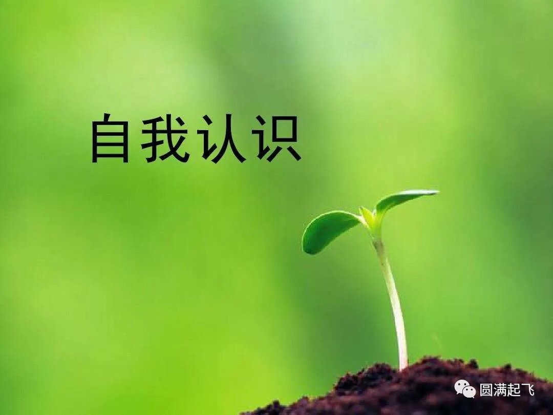cover_image