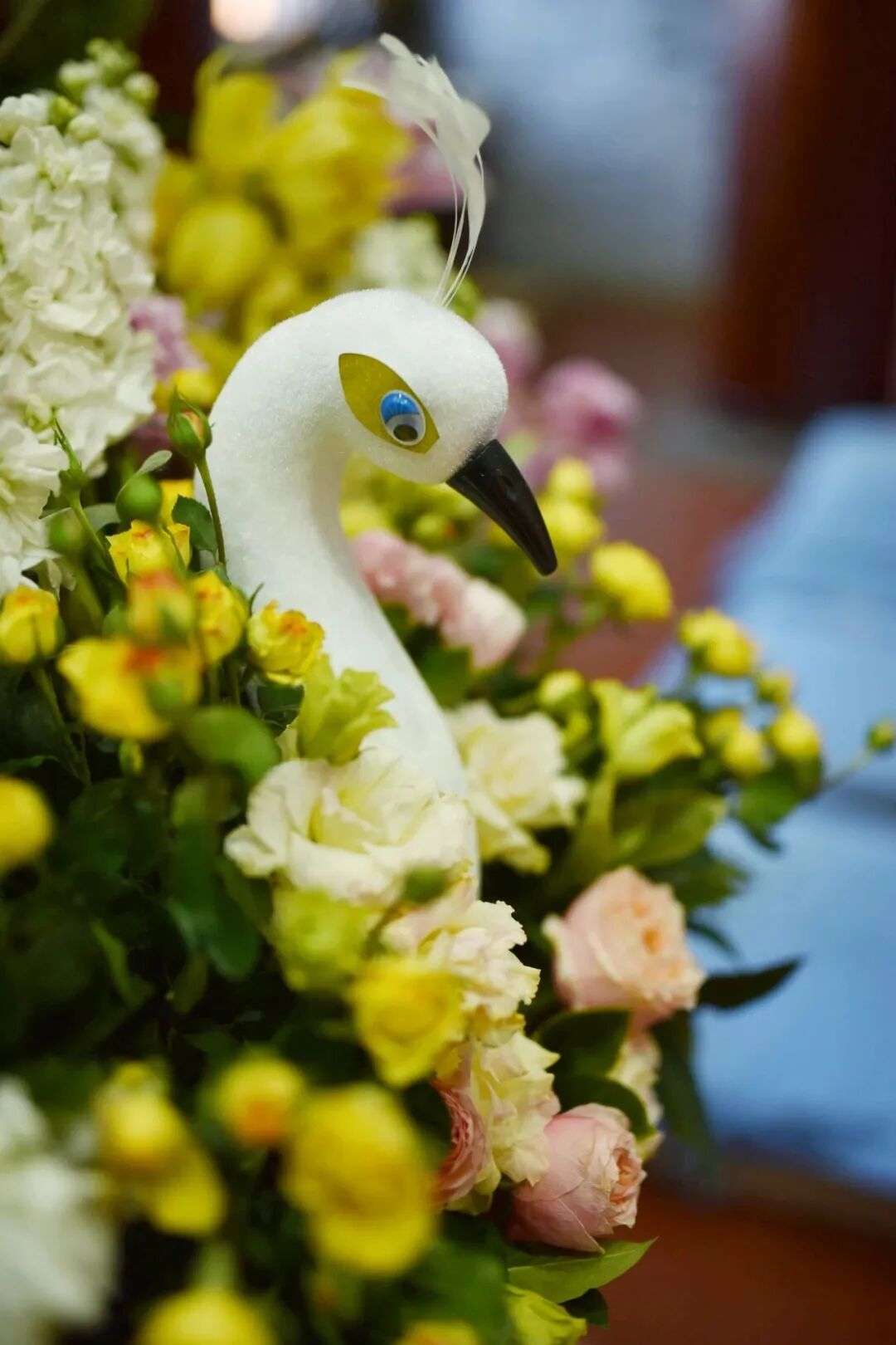 cover_image
