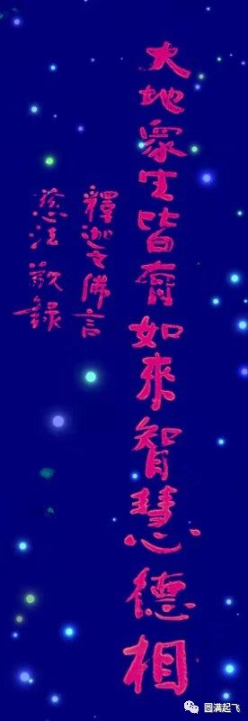 作者头像