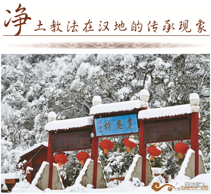 cover_image