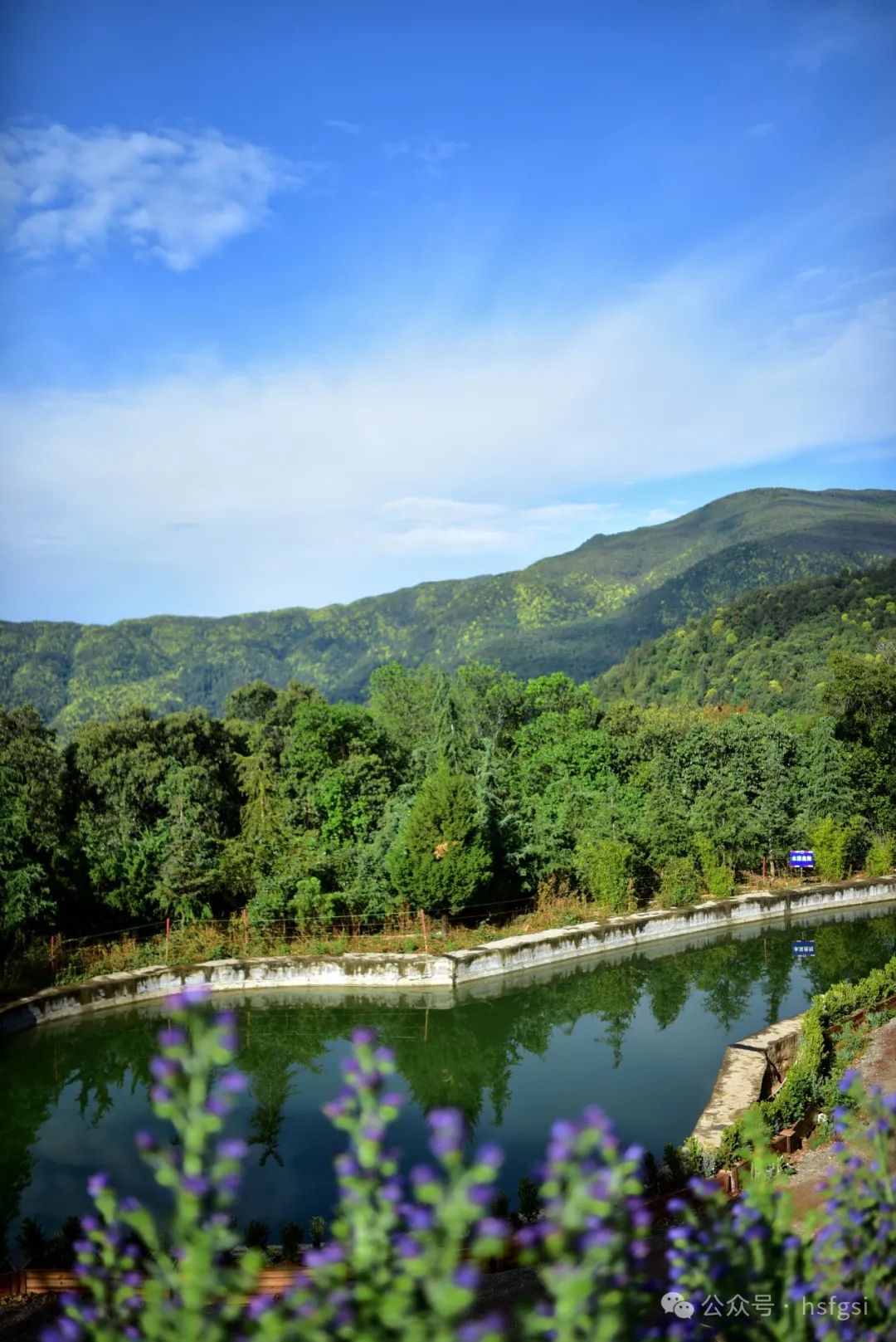 cover_image