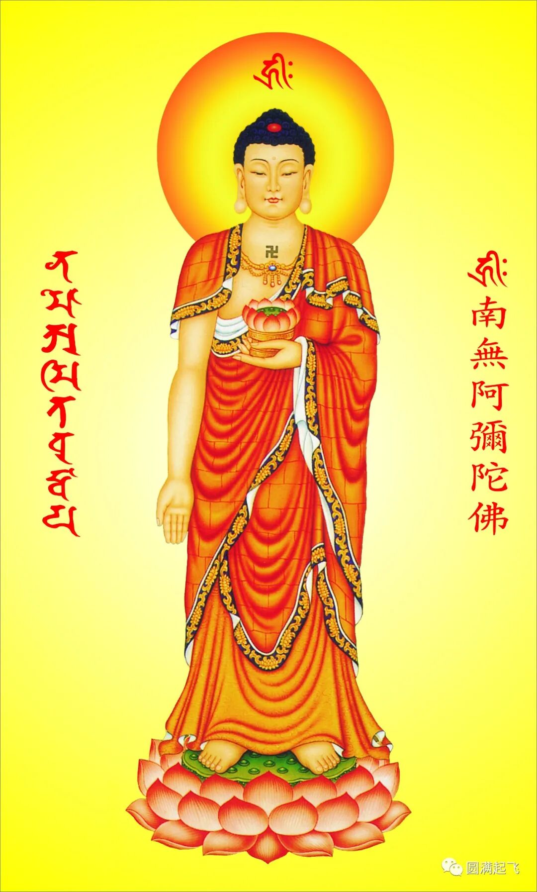 cover_image
