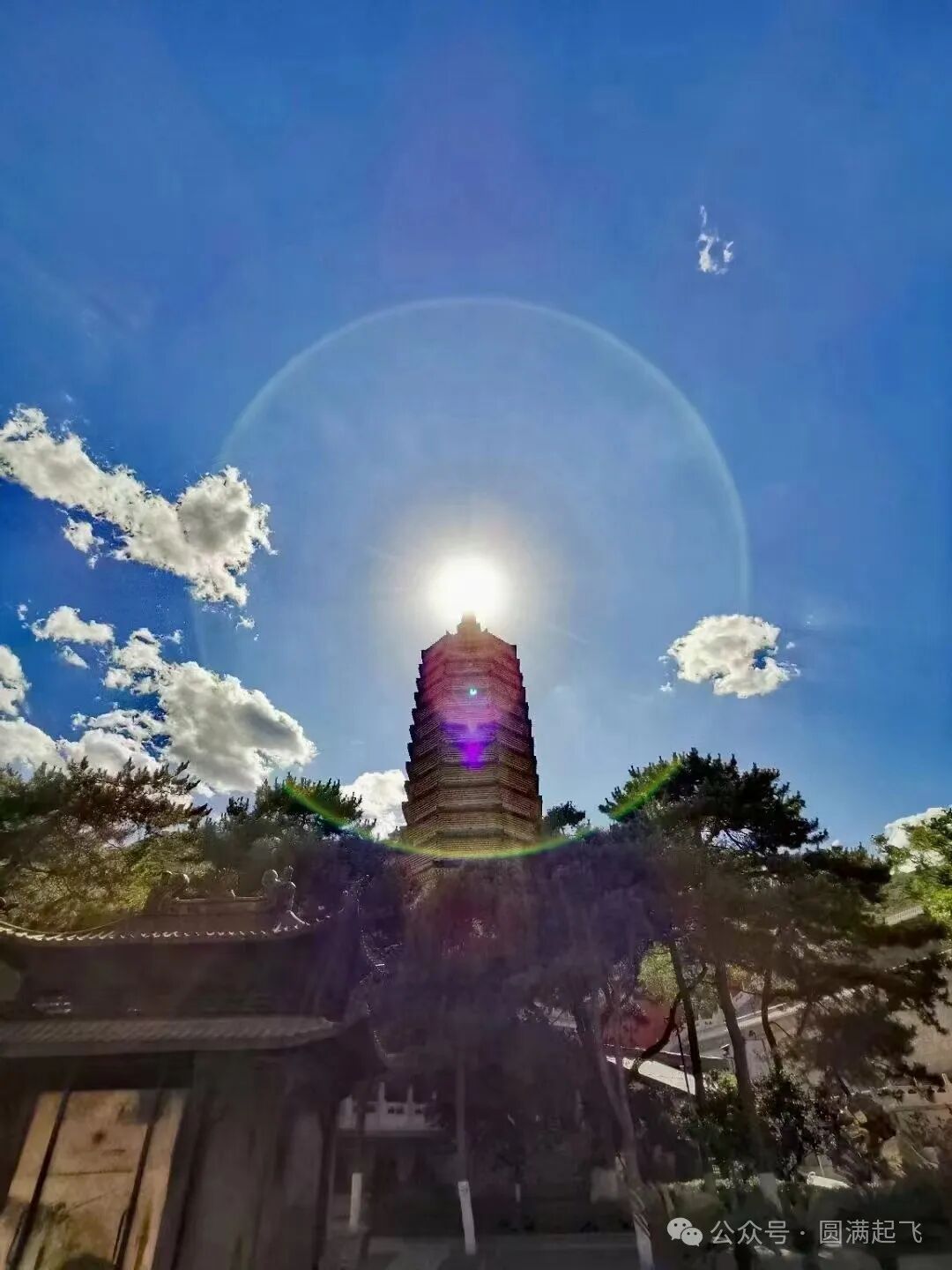 cover_image