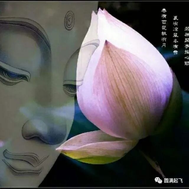 cover_image