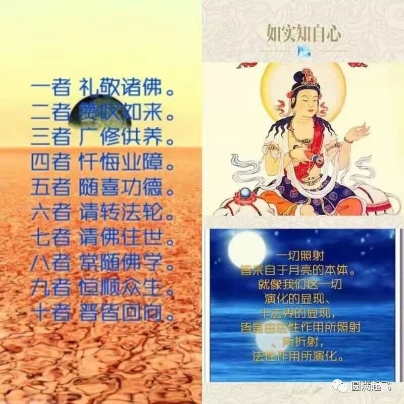 cover_image