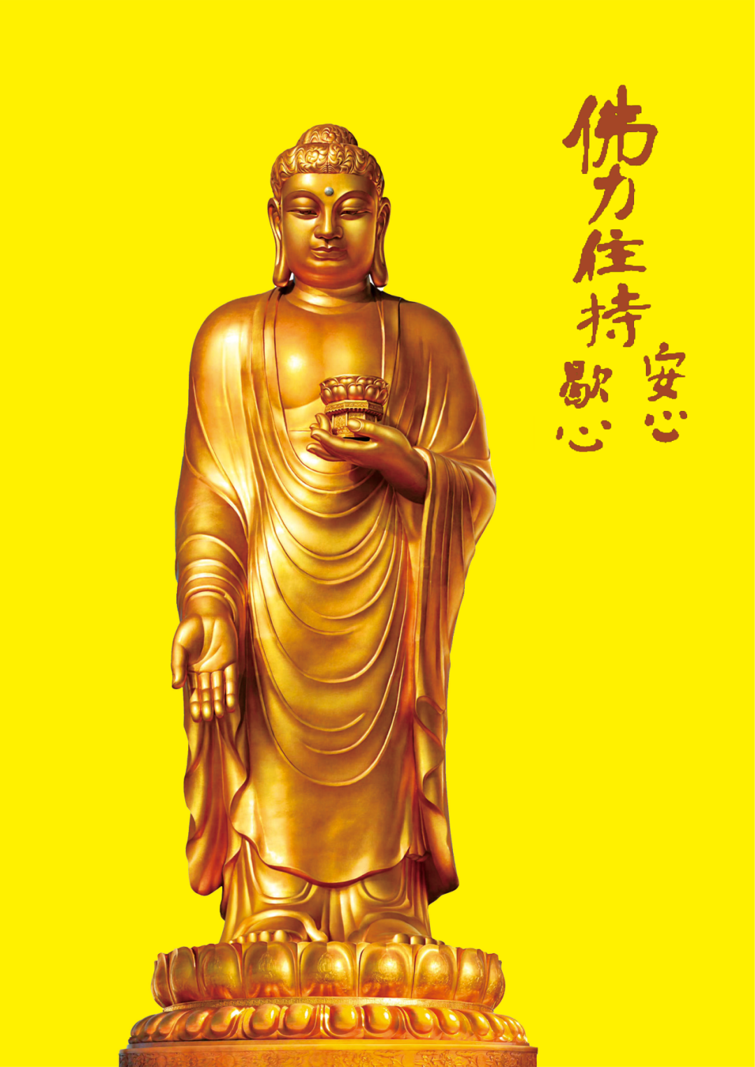 cover_image
