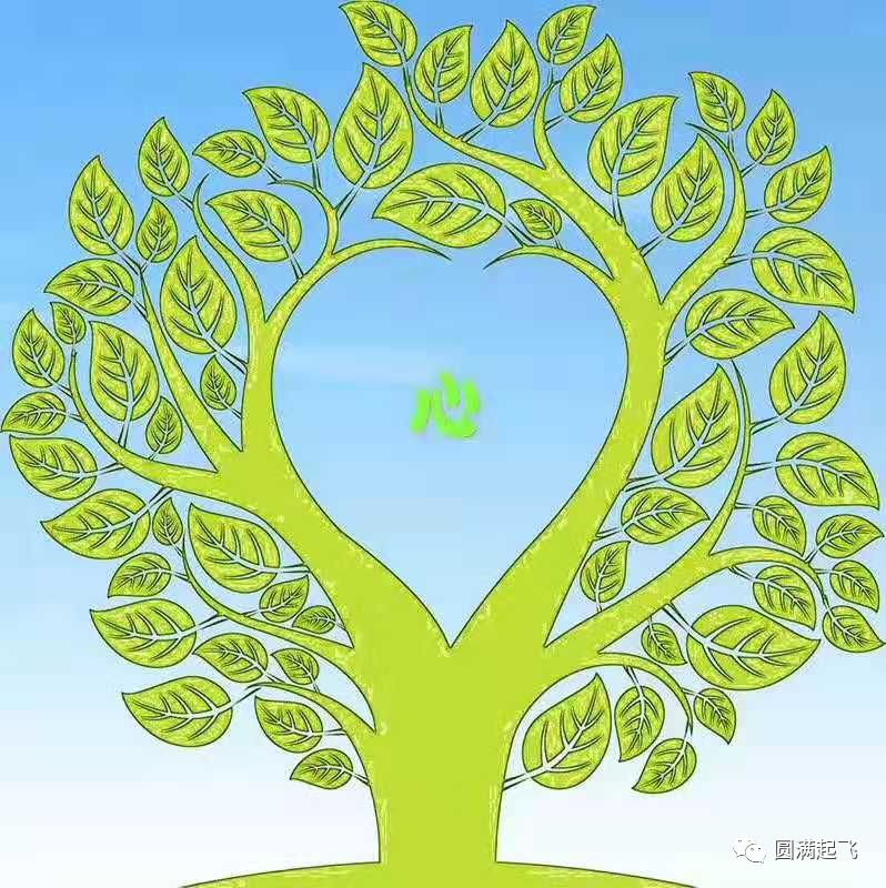 cover_image