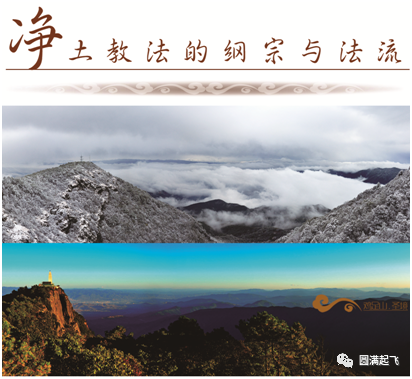cover_image