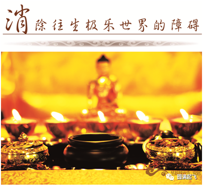 cover_image