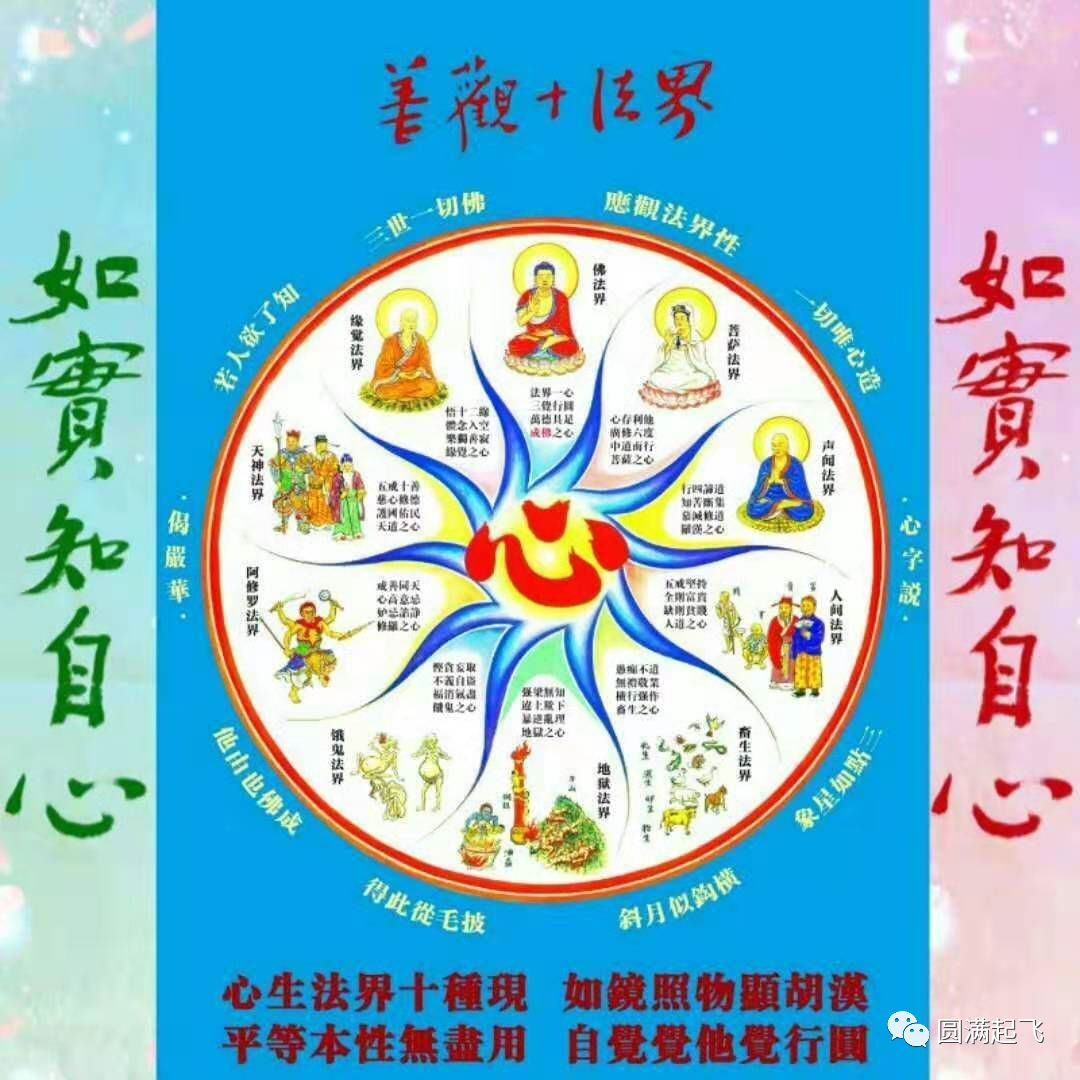 cover_image