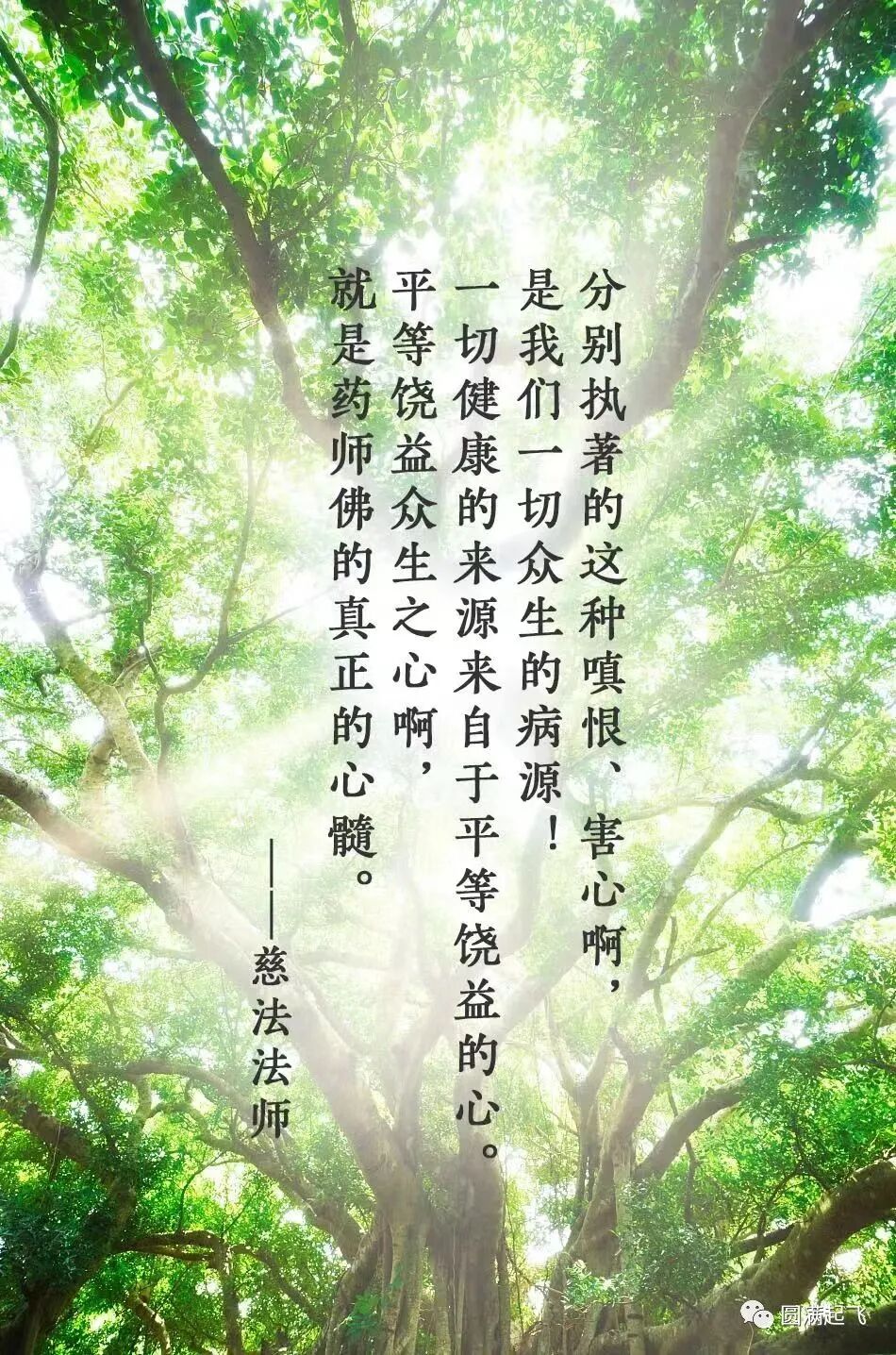 cover_image