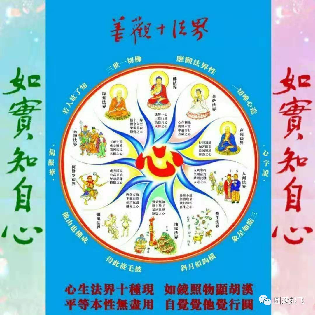cover_image