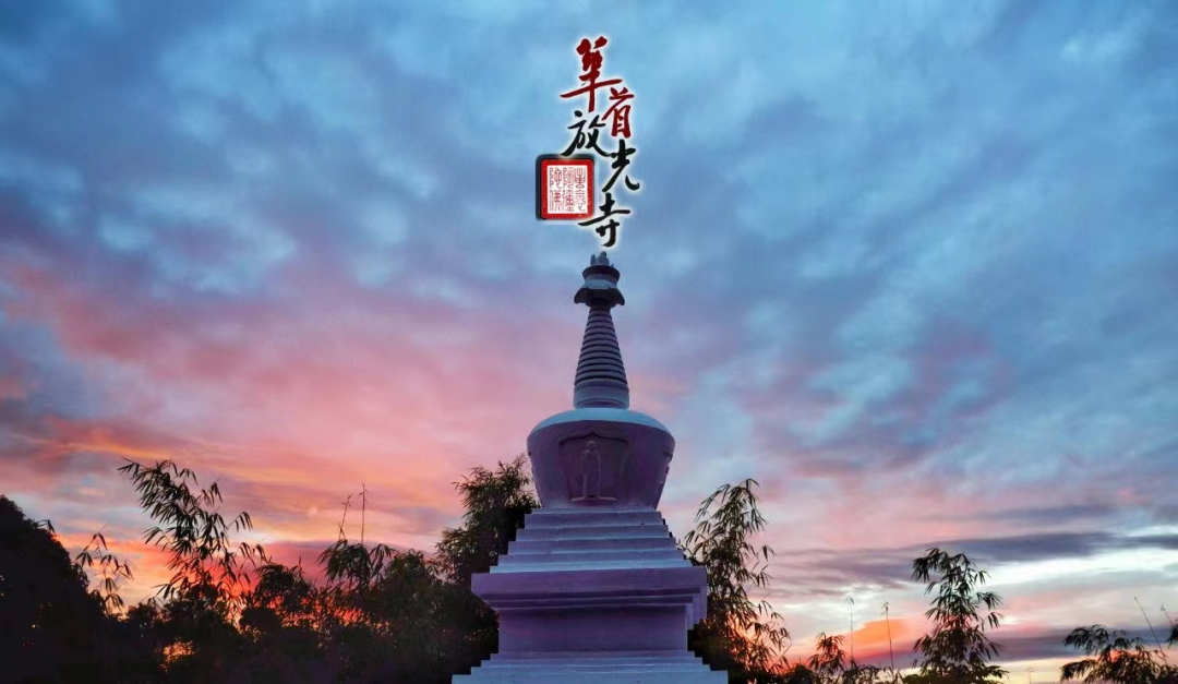 cover_image
