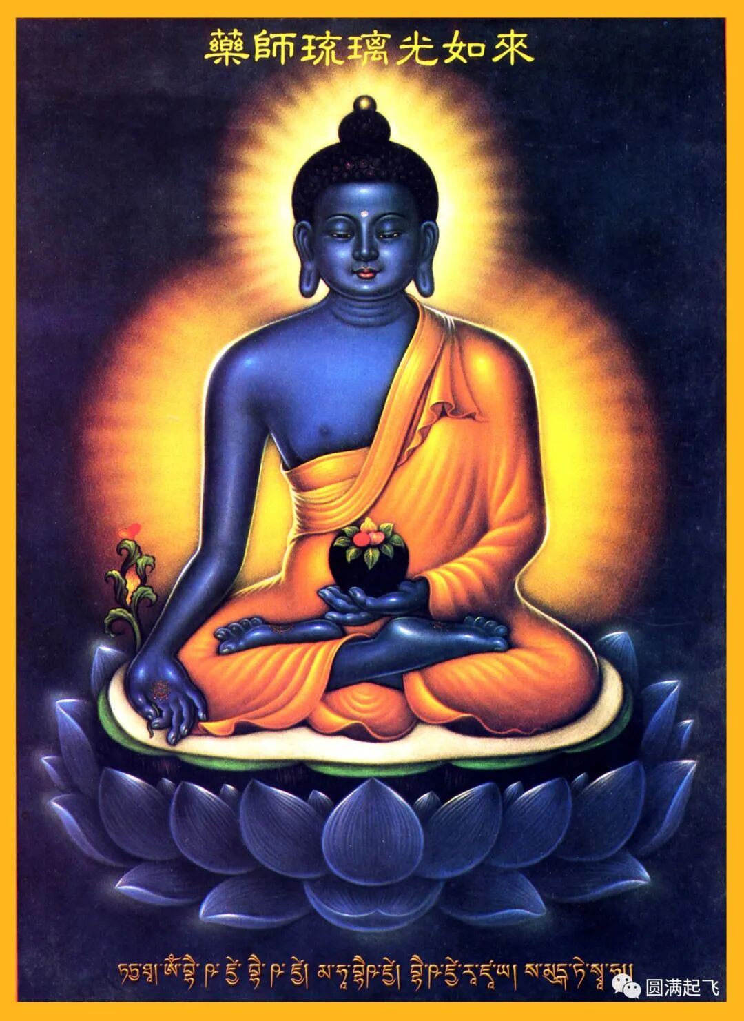 cover_image