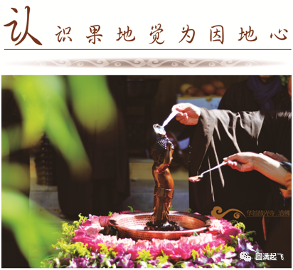 cover_image