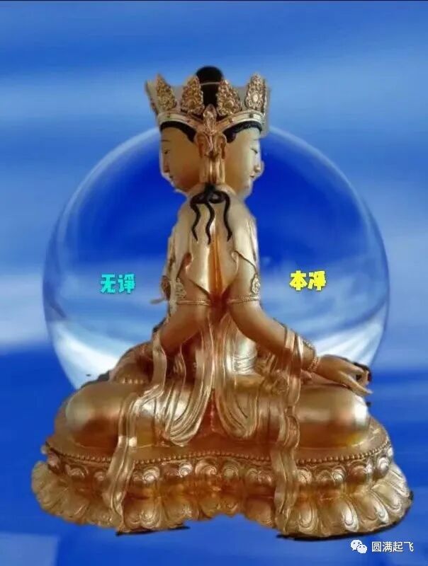 cover_image