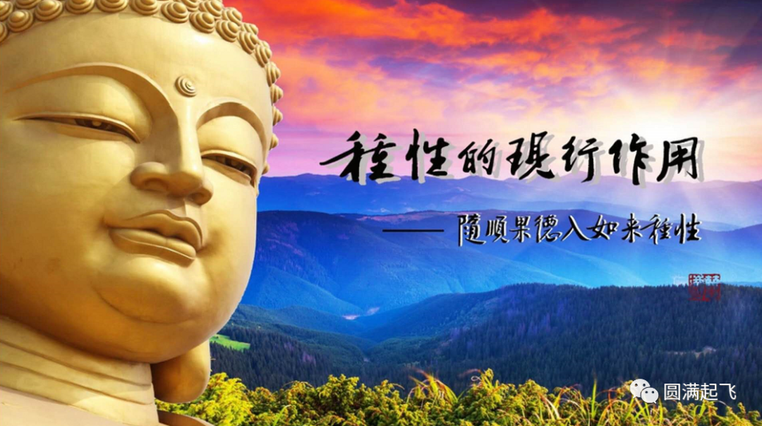 作者头像