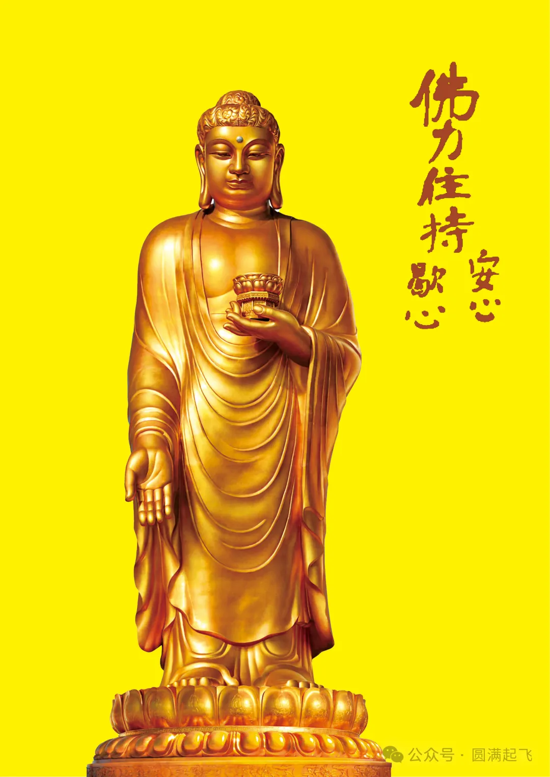 cover_image