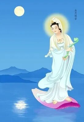 cover_image
