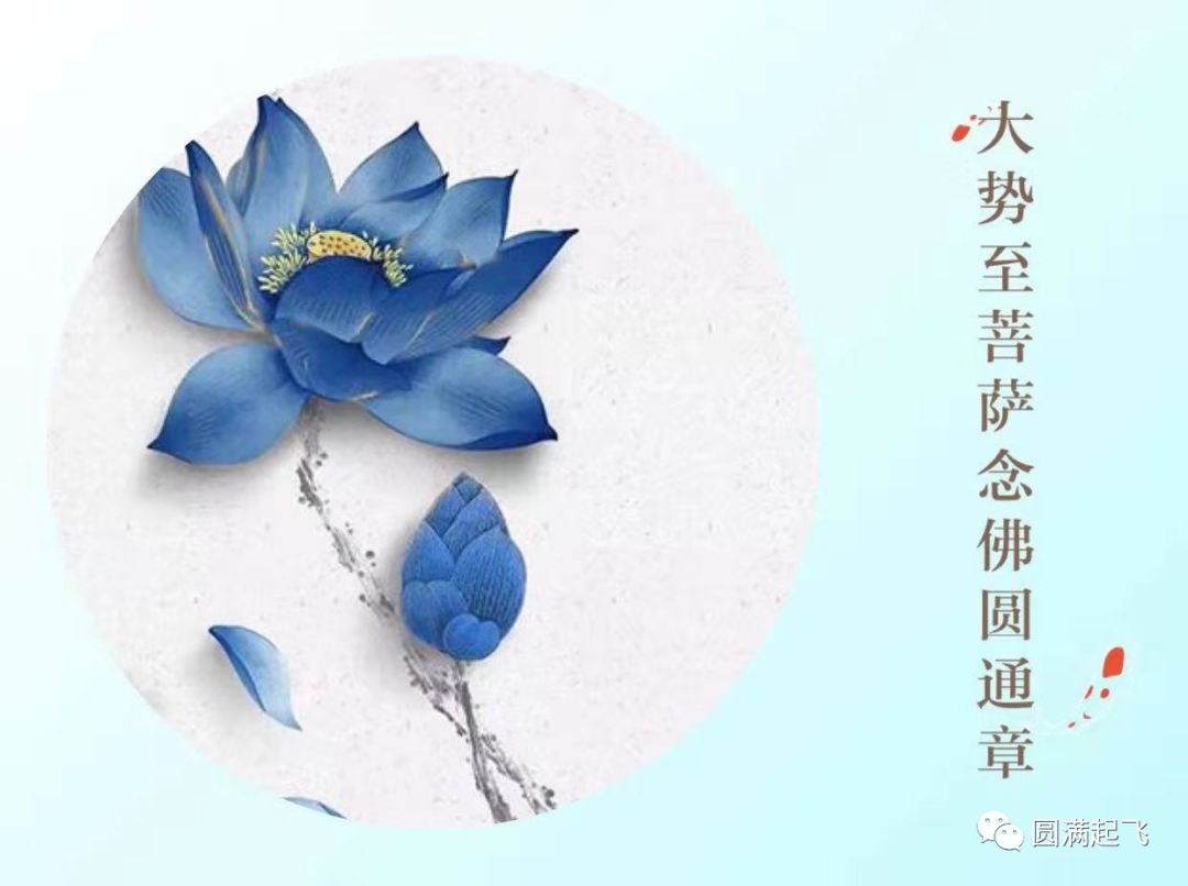 cover_image