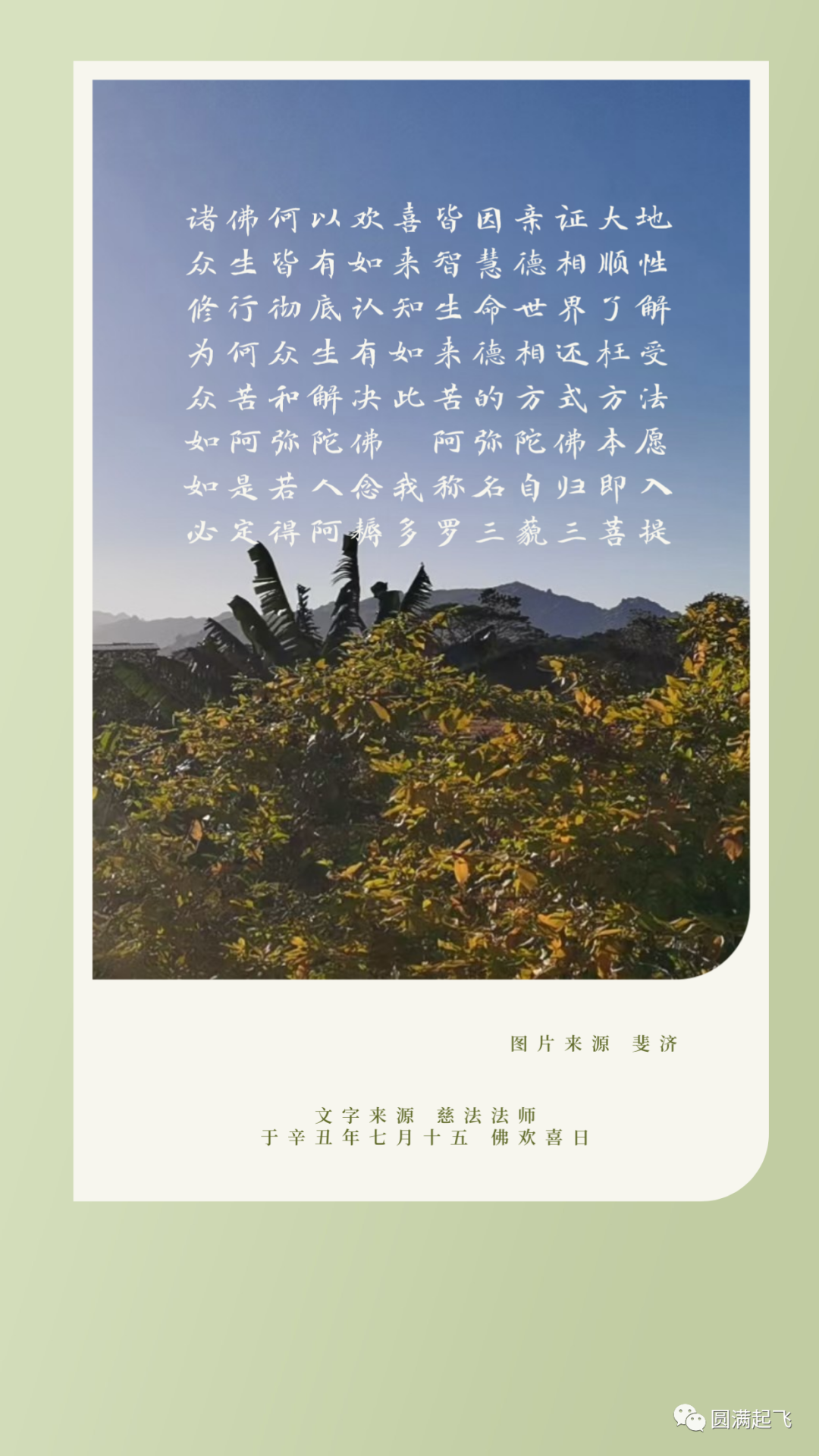 cover_image