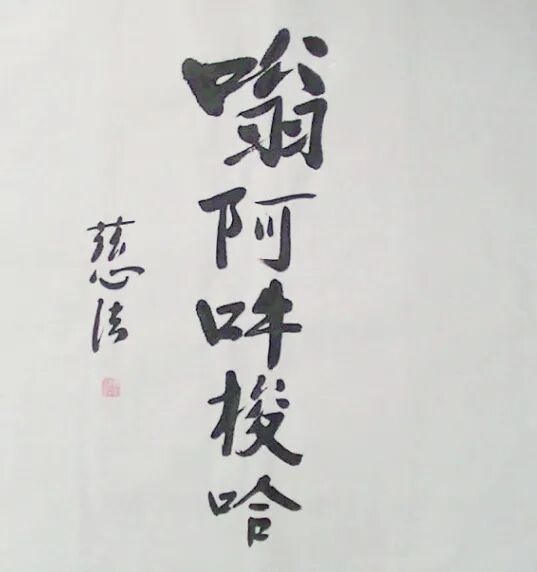 cover_image