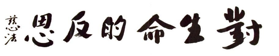 cover_image