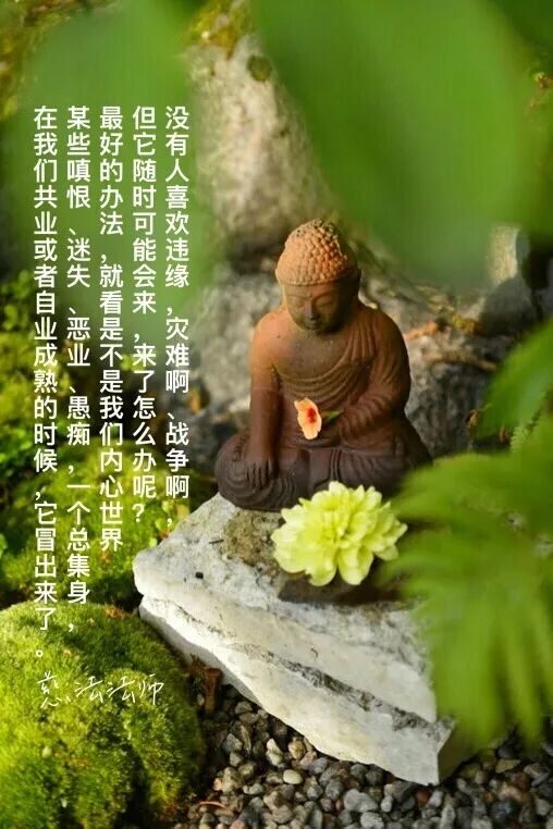 cover_image