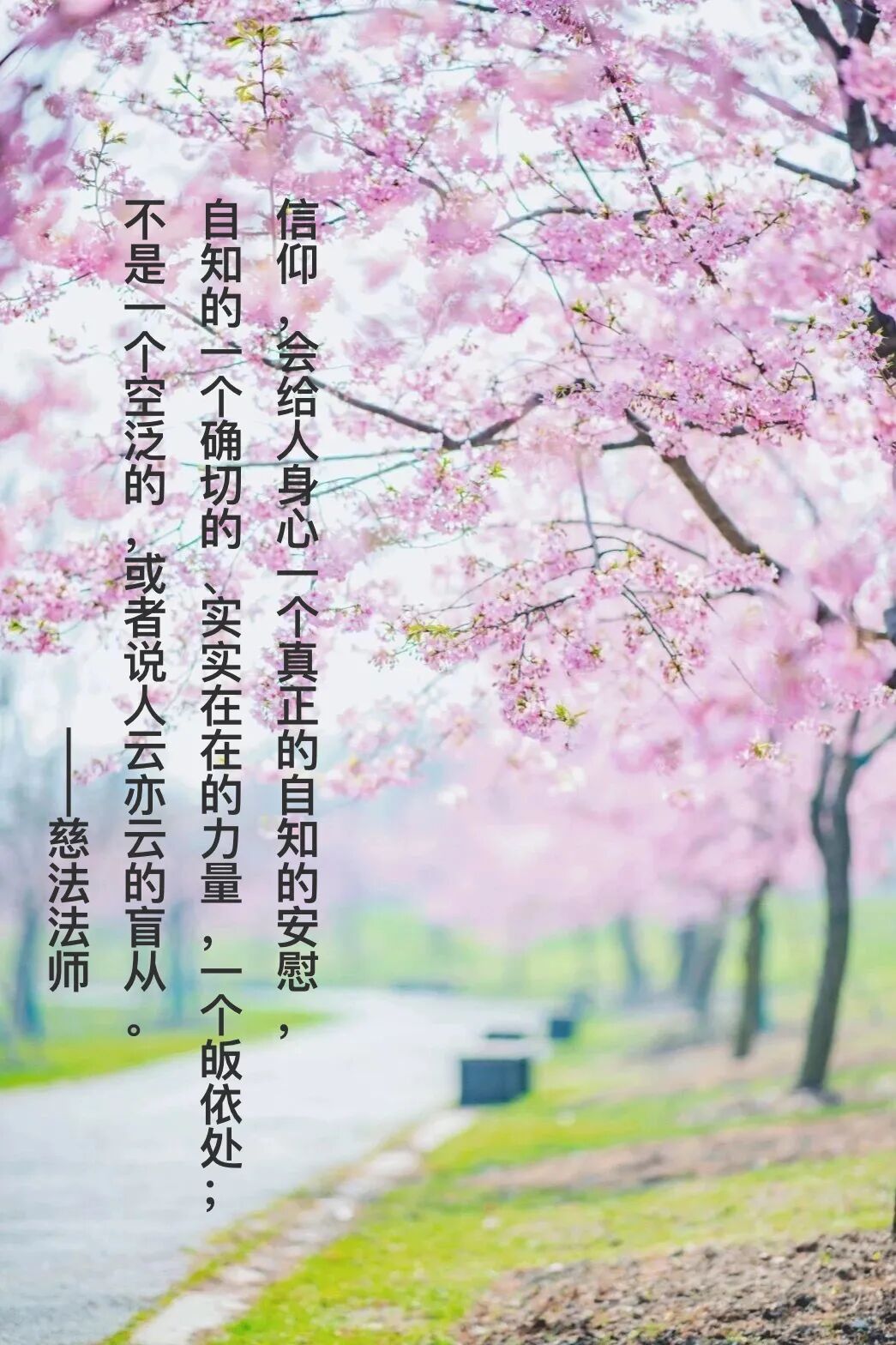 cover_image