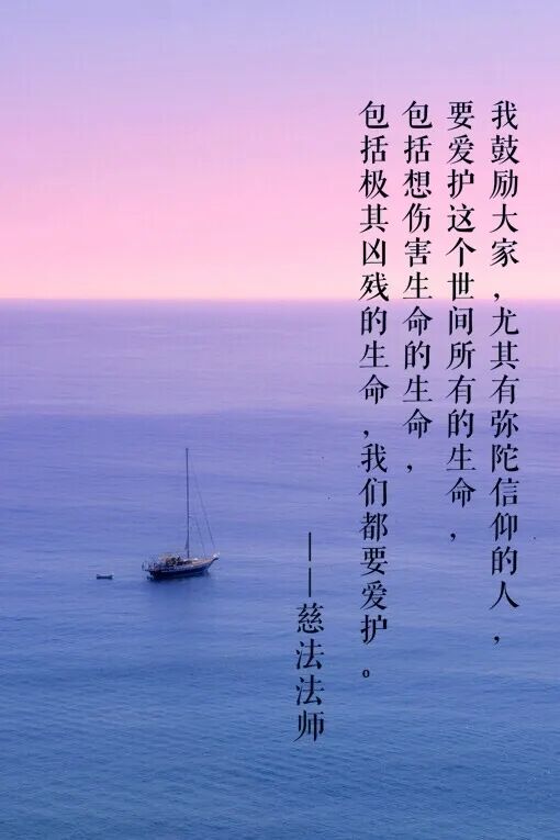cover_image