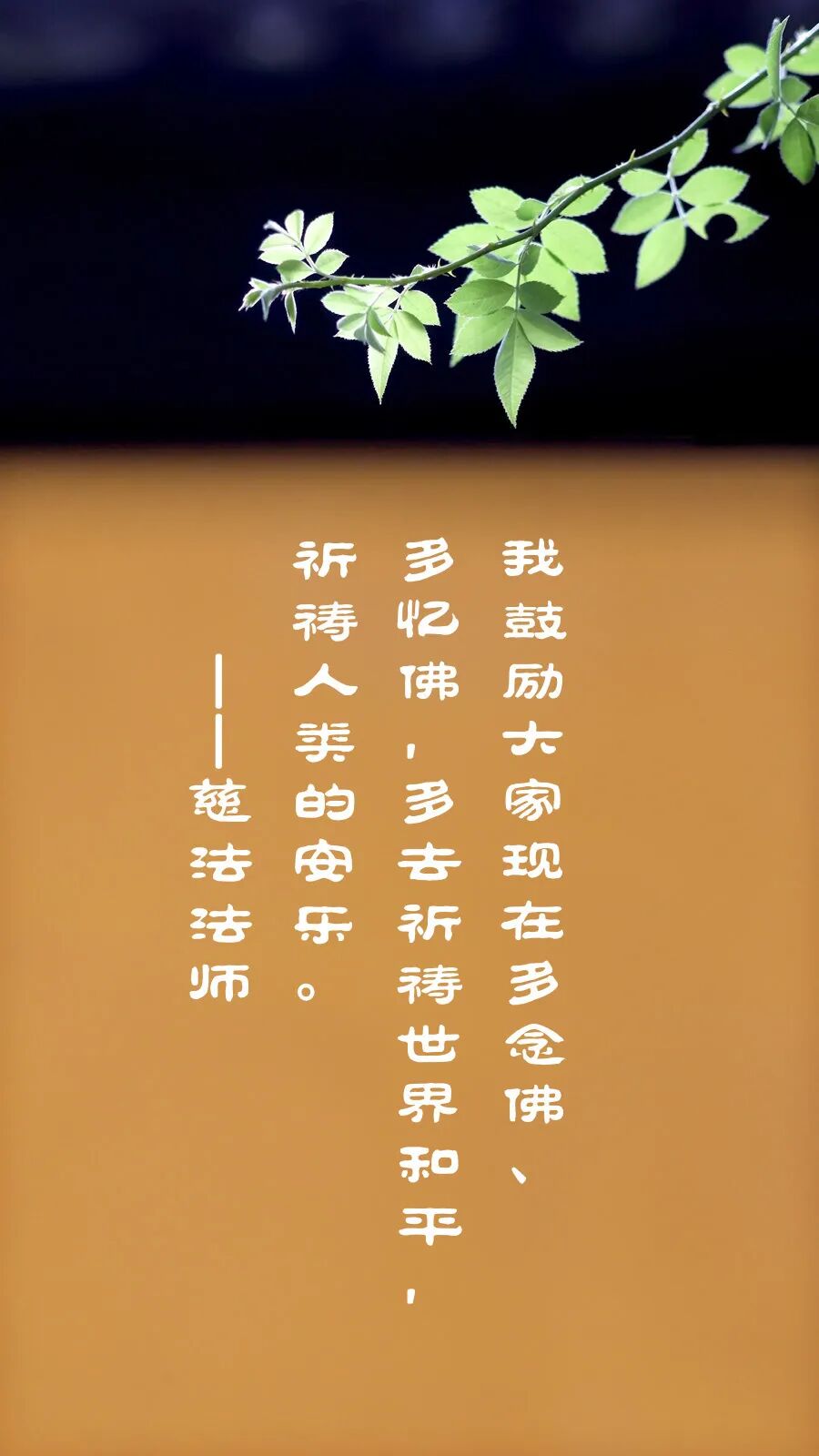 cover_image