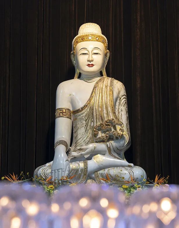 cover_image