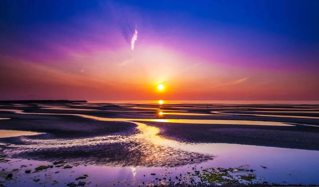cover_image